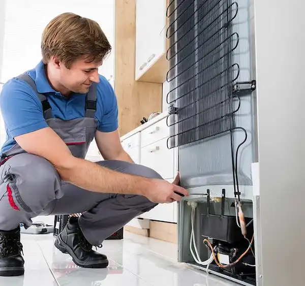 Professional Refrigerator Repair Repair Services
